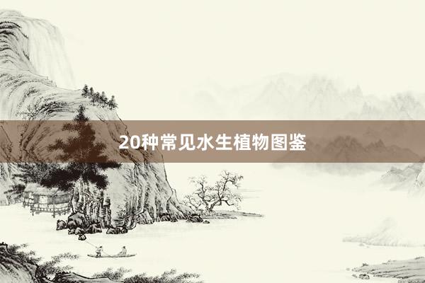 20种常见水生植物图鉴