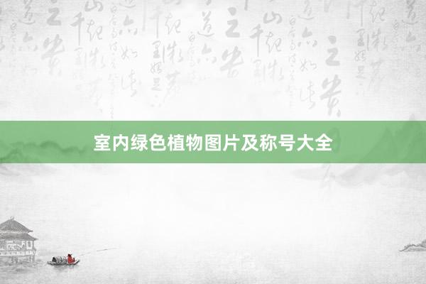 室内绿色植物图片及称号大全